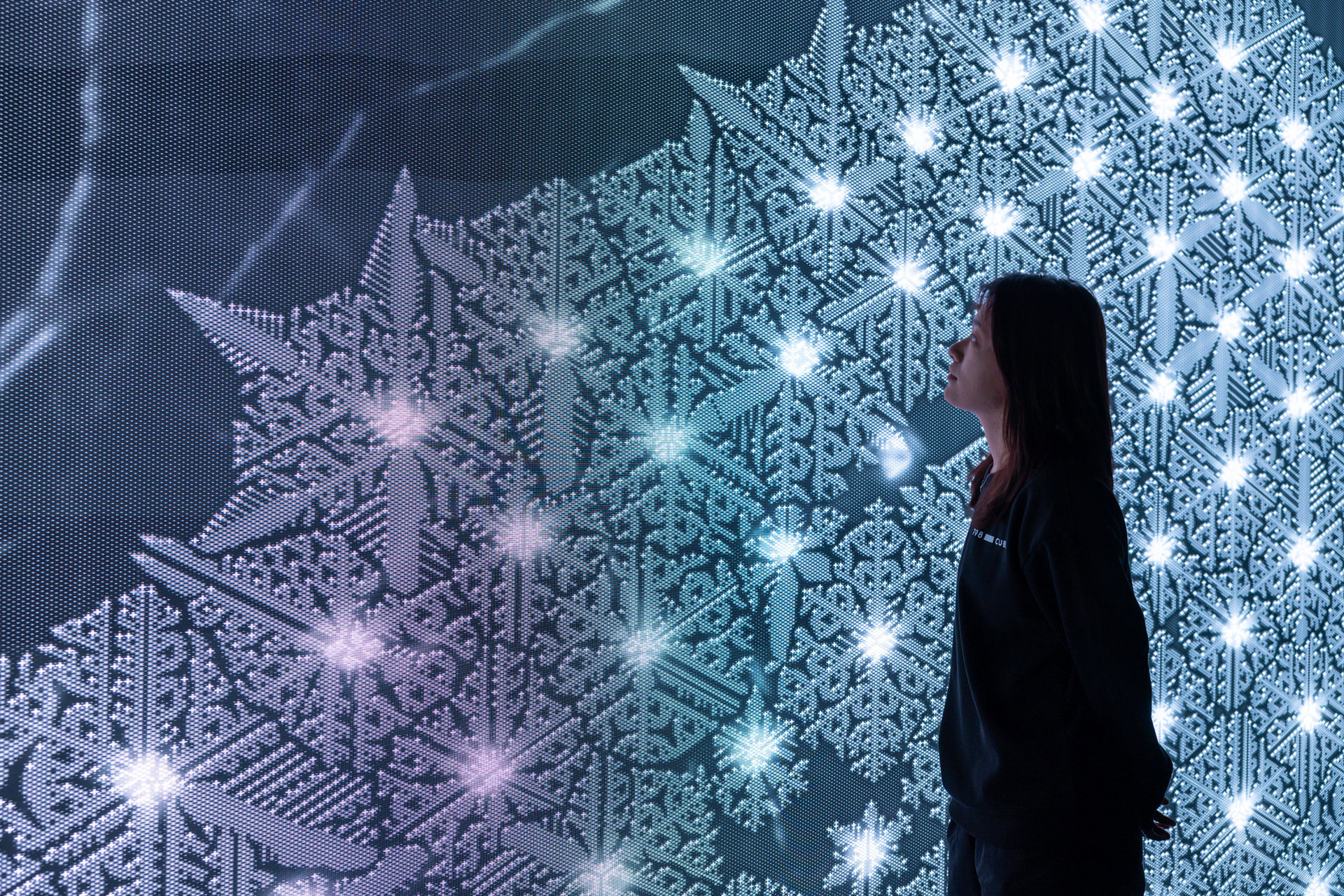 Dark Room Installation