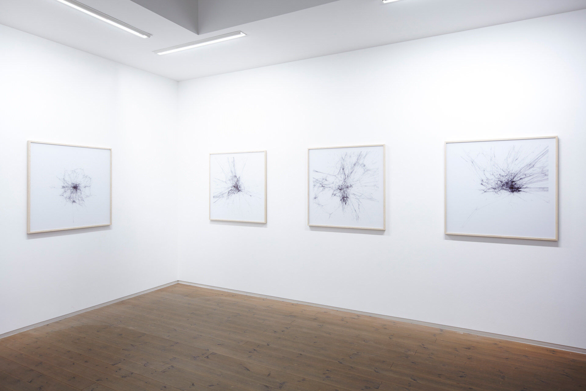 White Cube Exhibition