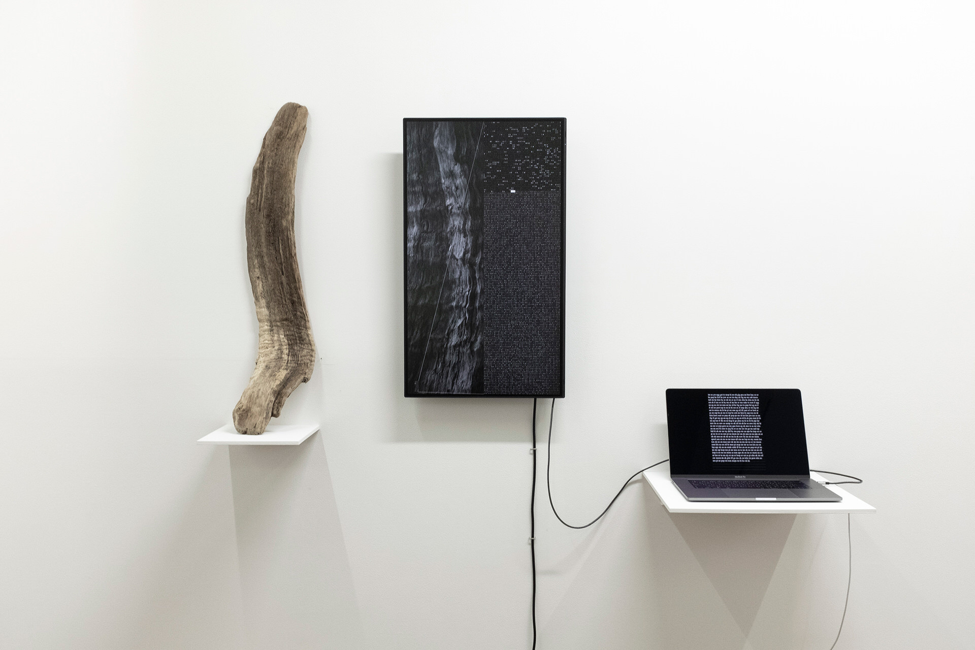 White Cube Exhibition